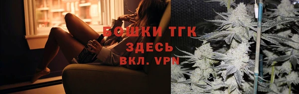 шишки Володарск