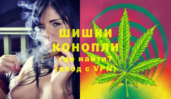 шишки Володарск
