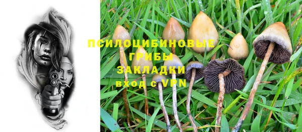шишки Володарск