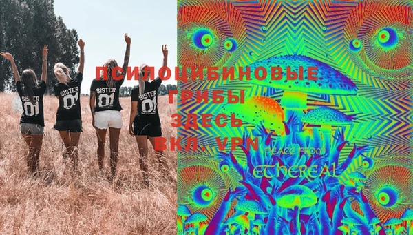 шишки Володарск
