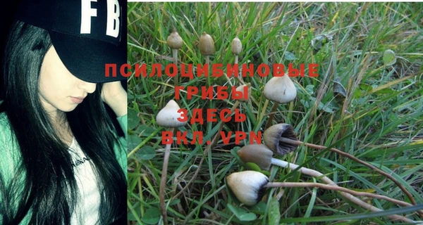 шишки Володарск
