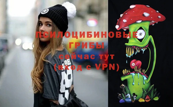 шишки Володарск