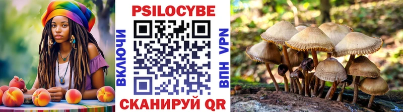 KRAKEN как войти  где купить наркотик  Железногорск  Галлюциногенные грибы MAGIC MUSHROOMS 